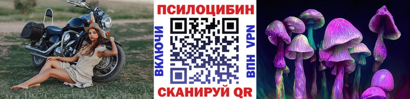Галлюциногенные грибы Psilocybe  Кириши 